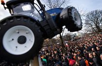 Protests against the Dutch government's plans to rein in emissions of nitrogen oxide began in 2020.