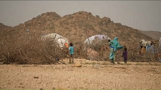 Guerre en Ukraine et sécheresse, le Somaliland est à la peine