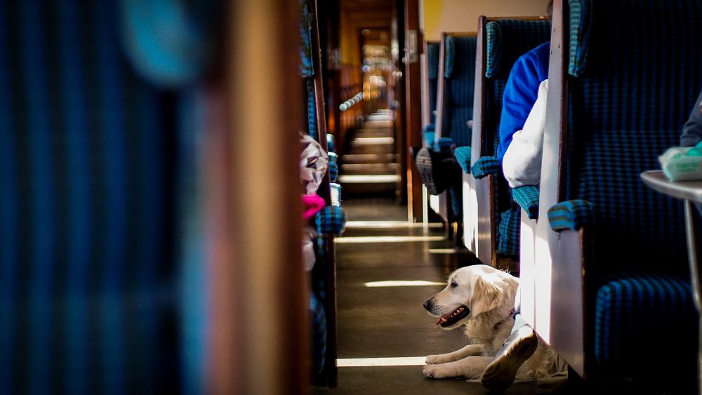 are dogs allowed on trains in europe