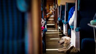 Italy’s leading rail operator is allowing small pets to travel for free on trains this summer.