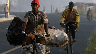 Mozambique: charcoal sellers on bycicles pay the price of deforestation