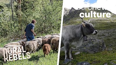 Biohof Dusch Farm in the mountains of Graubünden in eastern Switzerland