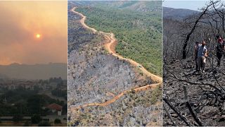 Marmaris'te 21 Harian 2022 tarihinde çıkan orman yangınında 4 bin 800 futbol sahası büyüklüğünde yeşil alan kül oldu.