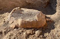 İtalya'nın Napoli kenti yakınlarındaki Pompeii Arkeoloji Parkı içinde 2 bin yıllık hamile bir kaplumbağa ve yumurtasının kalıntısı bulundu