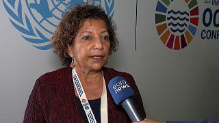 Lídia Cardoso, a ministra do Mar de Moçambique