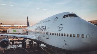 Aviation giant Lufthansa apologises to customers and warns of continuing summer travel disruptions. 