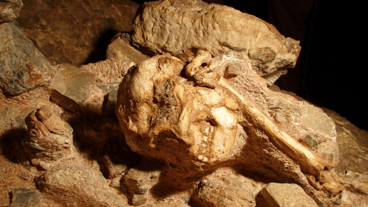 تصویری از «پا ی کوچک» یکی از فسیل‌های معروف کشف شده در غارهای استرک‌فونتین آفریقای جنوبی