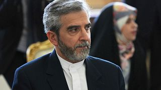 İran Dışişleri Bakan Yardımcısı ve Başmüzakereci Ali Bakıri