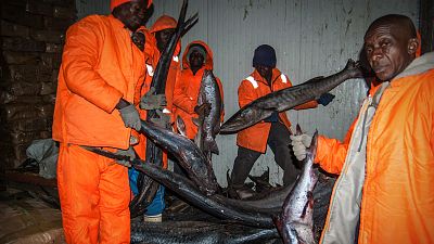 L'industrie de la pêche face à la surexploitation des océans