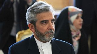 علی باقری کنی، مذاکره کننده ارشد هسته‌ای ایران