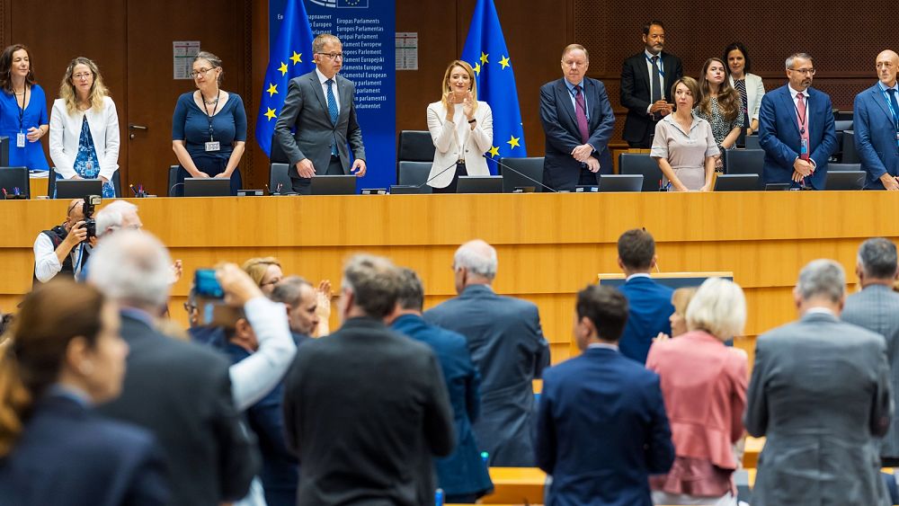MEP Awards: Meet this year’s winners for best EU lawmakers
