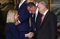 İsveç Başbakanı Andersson Cumhurbaşkanı Erdoğan ile Madrid'deki NATO Zİrvesi'nde el sıkışırken