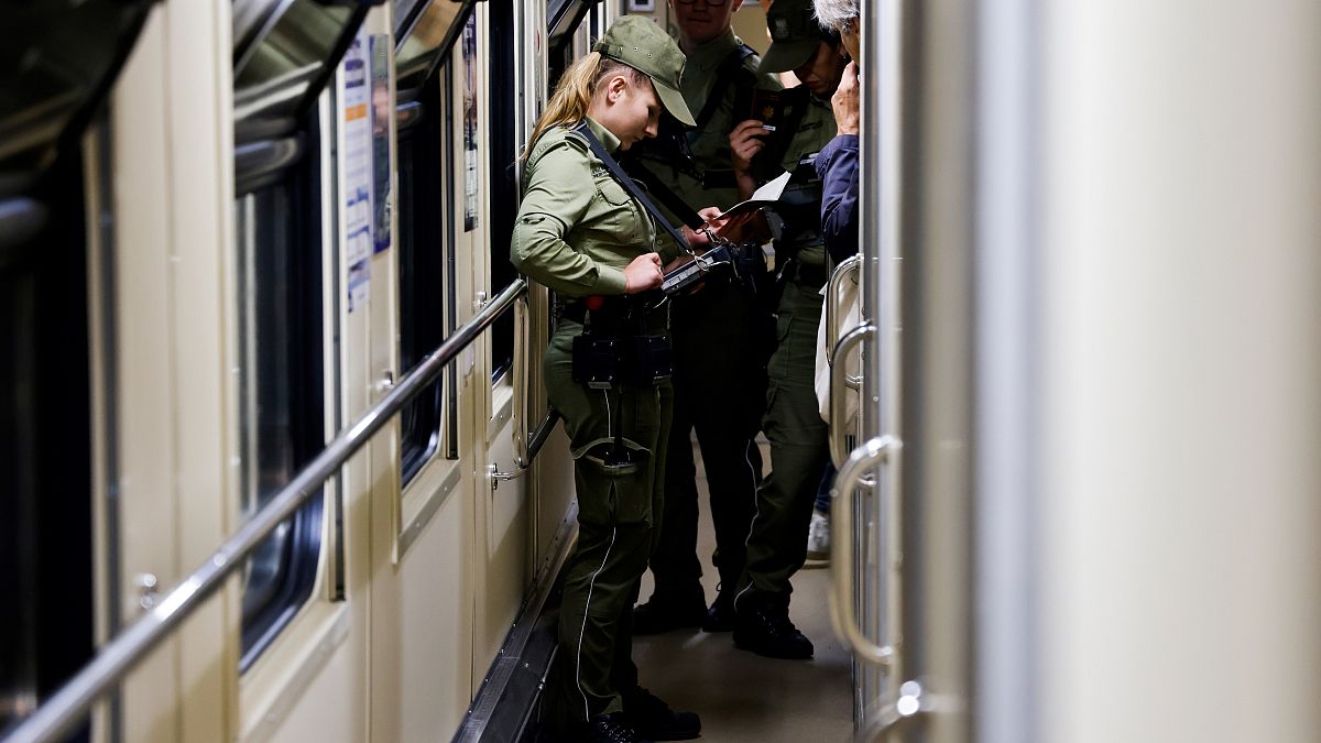 Украинский пограничный контроль в поезде