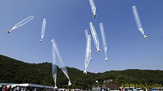 Kuzey Kore devlet medyasında yer alan haberde ülkedeki salgının Güney Kore sınırından gelen balonlarla başladığı belirtildi