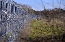 Kerítés a magyar-szerb határsávon