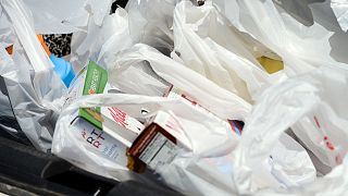 سبد خرید یک شهروند در تگزاس در سال ۲۰۱۶ همزمان با اعمال سیاست‌های کاهش استفاده از کیسه پلاستیکی
