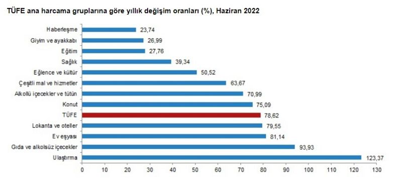 TÜFE ana harcama gruplarına göre yıllık değişim oranları (yüzde), Haziran 2022