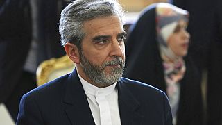 İran Dışişleri Bakan Yardımcısı ve Başmüzakareci Ali Bakıri Kani