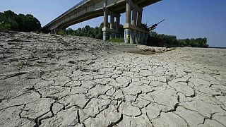 Imagens de seca extrema na Europa