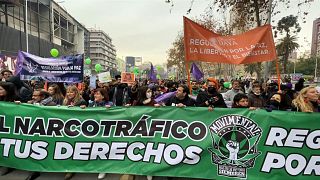 Des centaines de Chiliens ont défilé ce dimanche 3 juillet dans la capitale Santiago pour demander une meilleure réglementation du cannabis dans le pays.