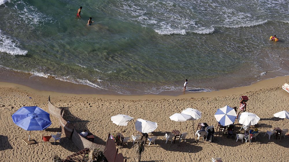 Two European tourists killed in Red Sea shark attacks off Egyptian coast
