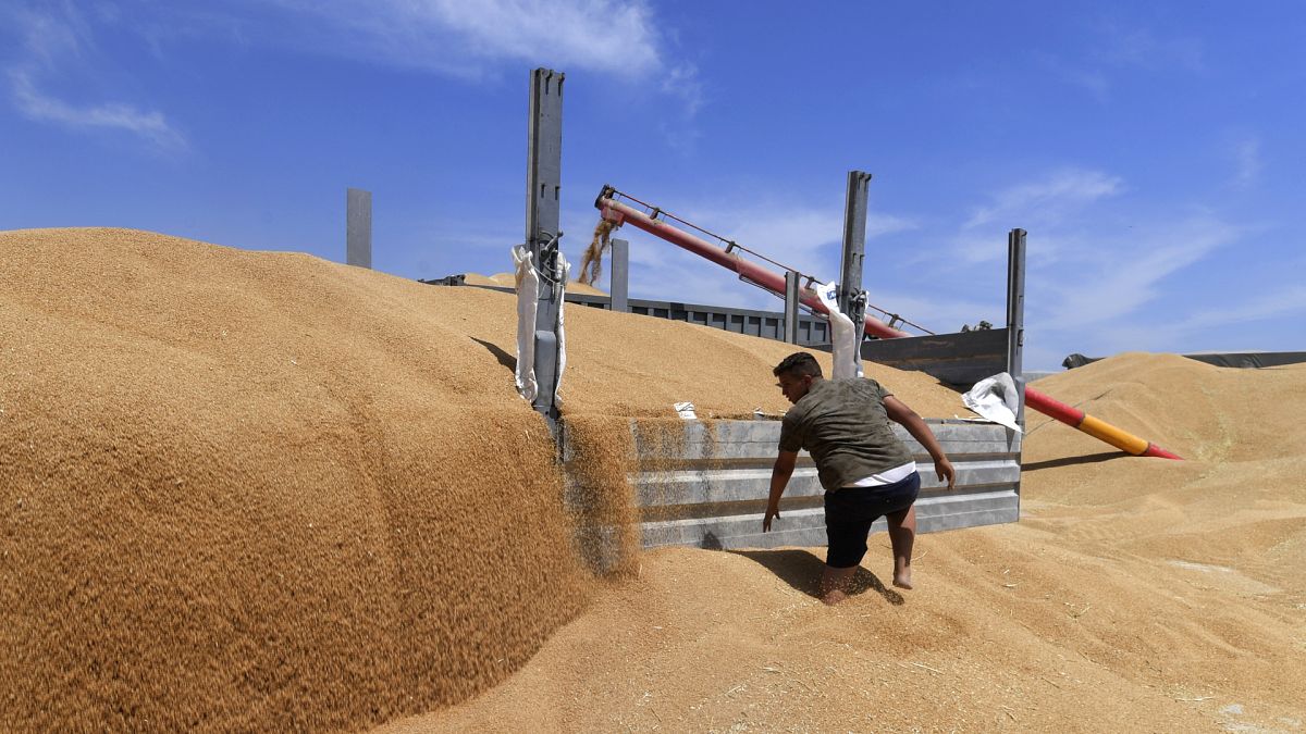 Du blé est transporté après la récolte dans la région de Cebalet Ben Ammar, au nord de la capitale Tunis le 16 juin 2022. FETHI BELAID / AFP