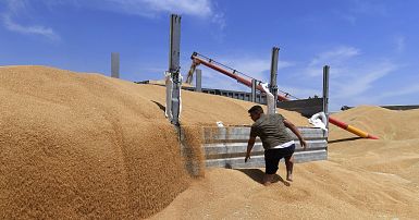 Tunisie: Une stratégie pour atteindre notre autosuffisance en blé