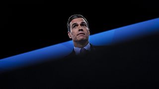 Spanish PM Pedro Sánchez seemed satisfied with the wording of NATO's  new strategic concept.