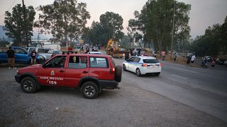 Ολονύκτια μάχη με τις φλόγες έδωσαν πυροσβέστες και εθελοντές, για να θέσουν υπό έλεγχο ορισμένα από τα μέτωπα της φωτιάς στην 'Αμφισσα