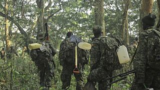 RDC : un militaire ougandais tue 2 soldats à Beni