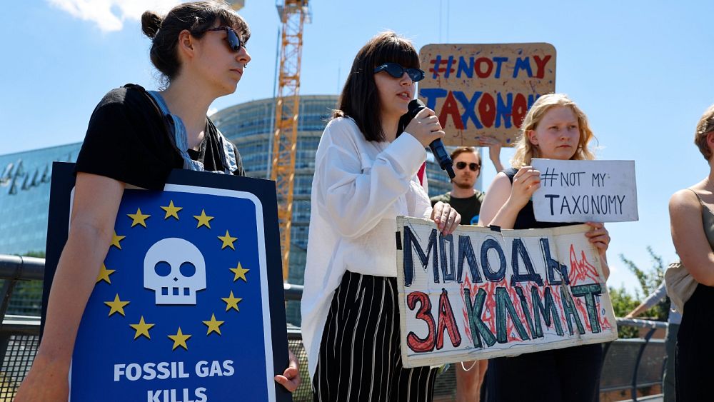 MEPs back EU plan to label nuclear and gas investments as ‘green’