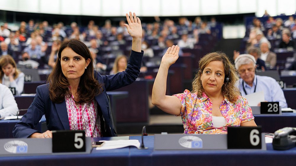 Watch: What do MEPs think about abortion rights in Europe?