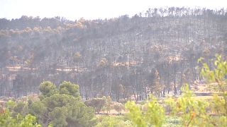 El incendio ha quemado ya 1.300 hectáreas, Venta del Moro, Comunidad Valenciana, España, 5/7/2022