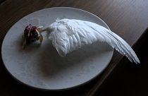 The wing Ptarmigan bird served with mushrooms and cured reindeer fat
