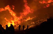 آتش سوزی در مرکز یونان 