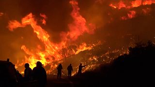 Des pompiers grecs luttent contre les flammes dans le centre du pays.