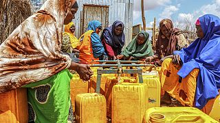 Période de sécheresse en Somalie, à Baidoa, le 15 juin 2022