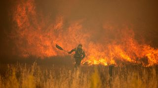 Europa, seriamente amenaza por una dura temporada de incendios forestales