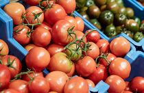 A inflação tem puxado pelos preços das frutas e legumes obrigando os consumidores a fazer escolhas