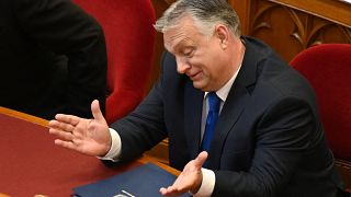 В апреле партия премьера Виктора Орбана четвертый раз подряд получила парламентское большинство
