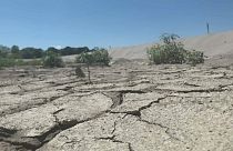 Засуха на берегах реки По (Италия)