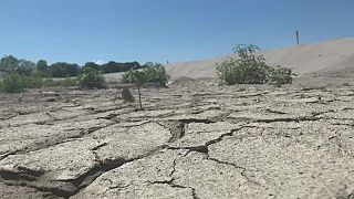 Le sol craquelée par la sécheresse dans la vallée du Pô