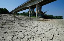 Dry cracked land visible under a bridge in Boretto on the bed of the Po river, Italy, Wednesday, June 15, 2022.