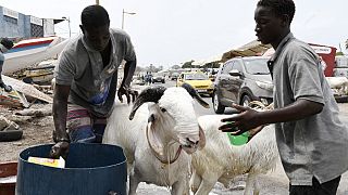 Sénégal : une Tabaski sous le signe de l'inflation