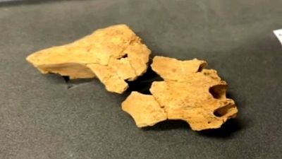 Captura de vídeo difundido por la Fundación Atapuerca sobre la cara del primer europeo