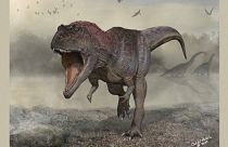 Nova espécie de dinossauro encontrada na Argentina