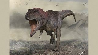 Nova espécie de dinossauro encontrada na Argentina