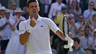 Novak Djokovic oggi a Wimbledon