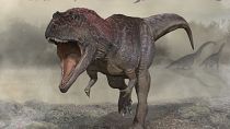 Реконструкция внешнего вида динозавра Мераксес Гигас