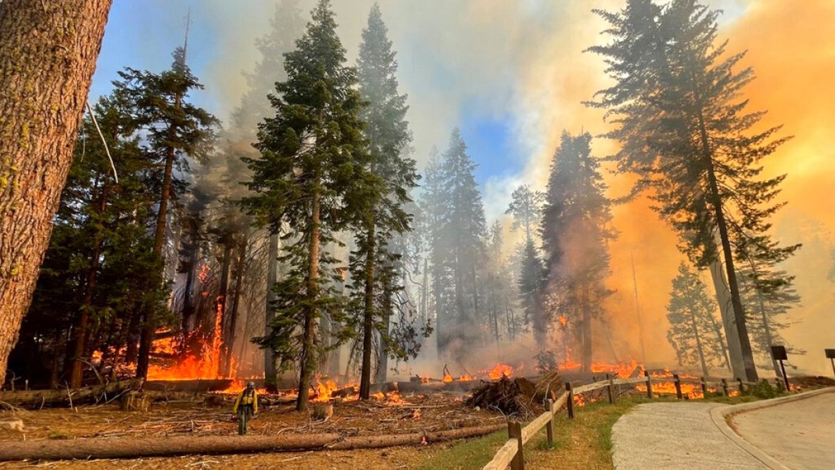 Πυρκαγιά στο Εθνικό Πάρκο Yosemite της Καλιφόρνια